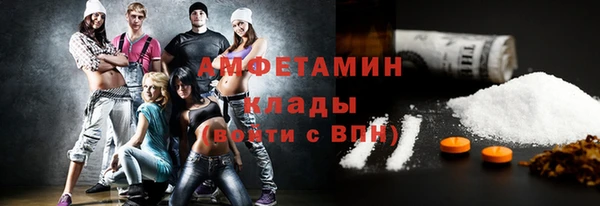 сатива Пересвет