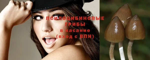 а пвп мука Пестово