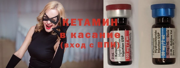 сатива Пересвет