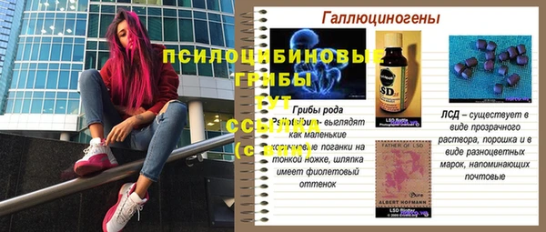 сатива Пересвет