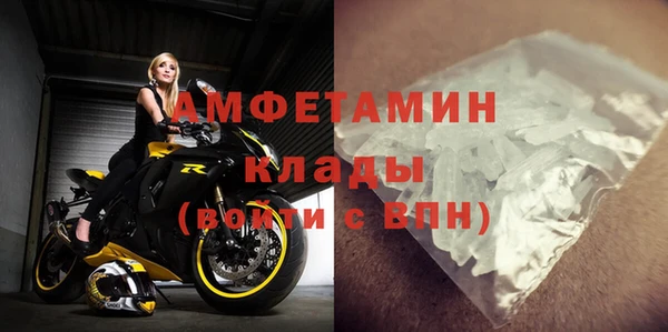 сатива Пересвет