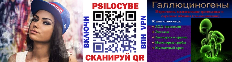 Галлюциногенные грибы Psilocybe  Купить где  Калачинск 